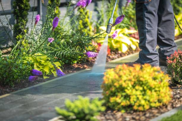Best Winterizing Services  in West Babylon, NY